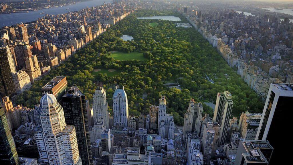 new york skyline and central park surrounded by house, offices and hotels