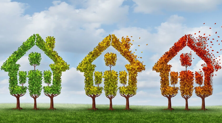 hedges in shapes of houses with leaves changing colours reflecting the pressure on seasonal hotels to adopt sophisticated revenue management strategies