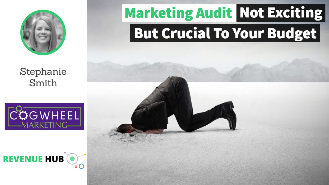 image of man with head in sand used on a thumbnail for a video with cogwheel marketing looking at the importance of a marketing audit