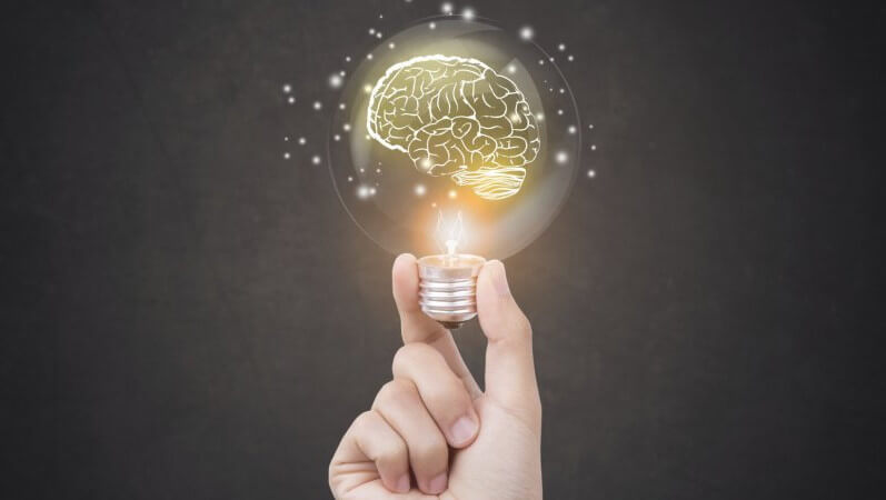 lightbulb with image of a brain inside illustrating genius booking.com's loyalty program