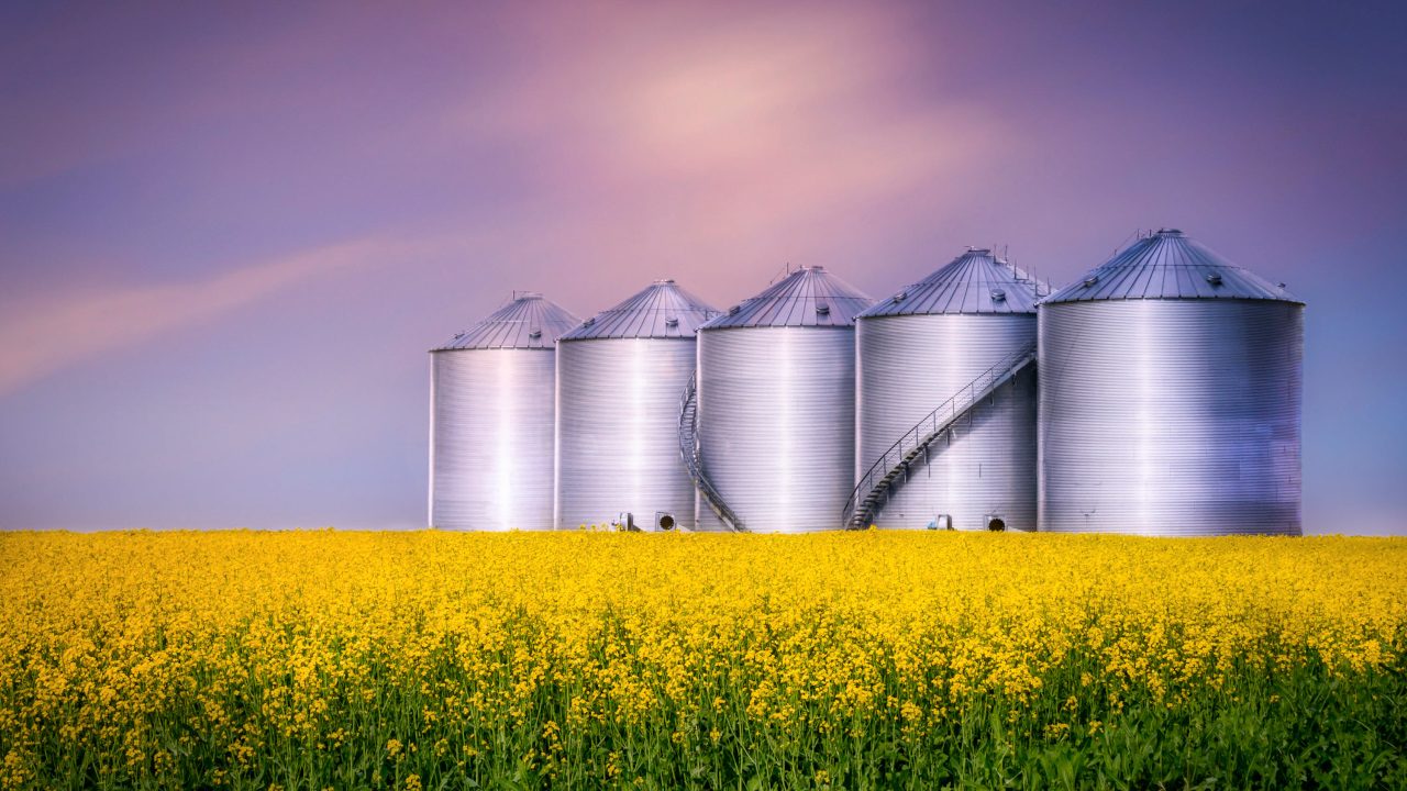 silos grain towers like hotel data in legacy systems