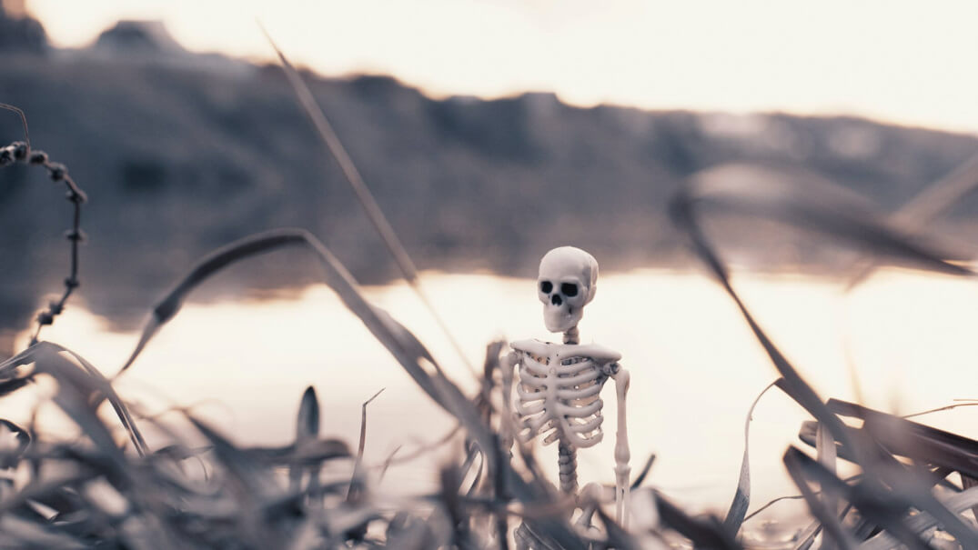 skeleton in an apocalyptic landscape asking the questions in the era of ai is the role of the revenue manager dead